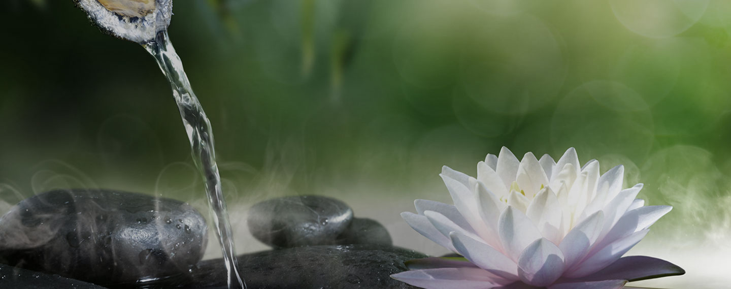 heal from within