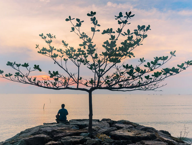 Person sitting in solitude under a tree